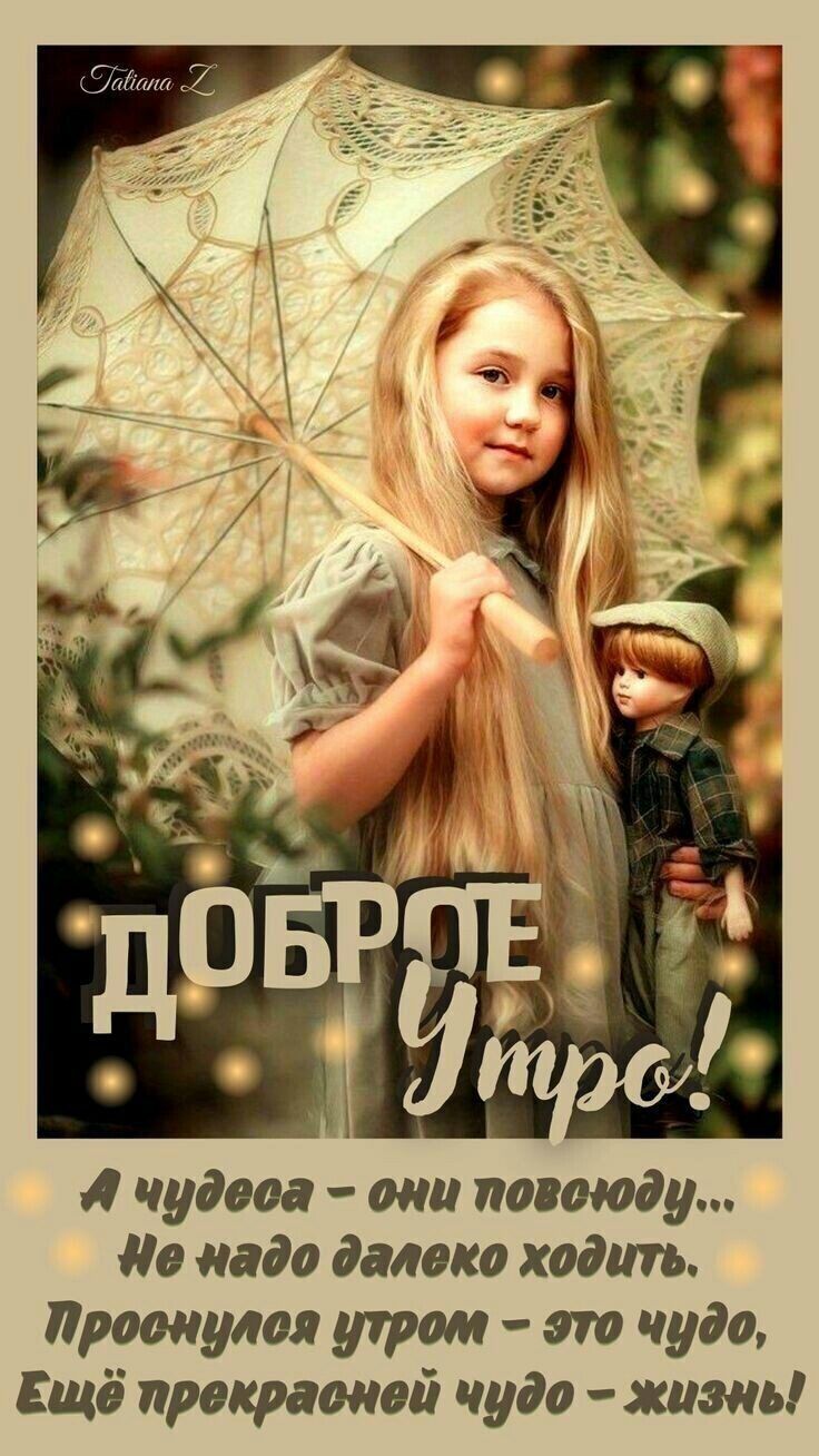 чудова они повсюду в надо далеко ходить рванулся утром это чудо Ещё прекрасной чудо жизнь