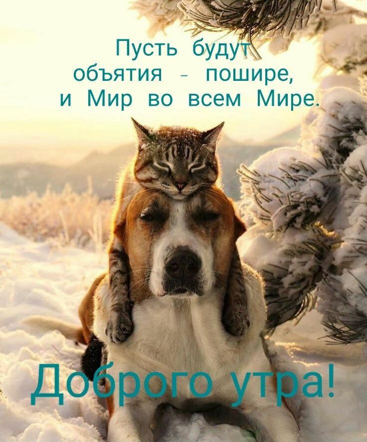 объятия пошире 1 и Мир во всем Мире