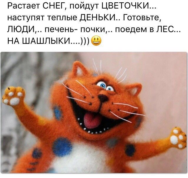Растает снег, пойдут цветочки... Наступят теплые деньки.. Готовьте, люди,.. Печень почки,.. Поедем в лес... На шашлыки.....