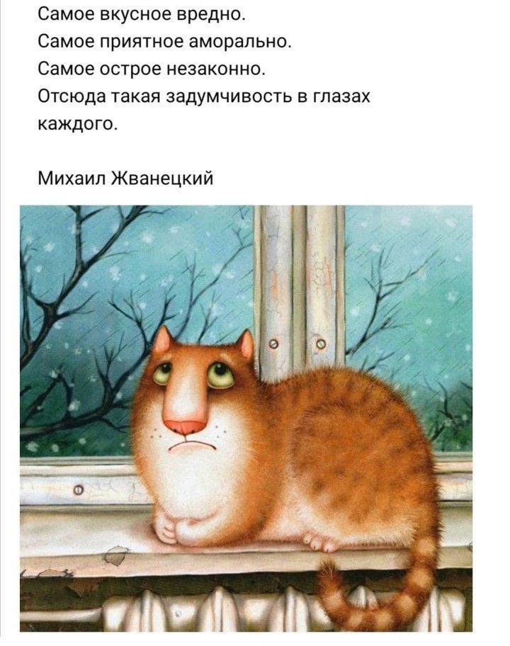Самое вкусное вредно. Самое приятное аморально. Самое острое незаконно. Отсюда такая задумчивость в глазах каждого. Михаил жванецкий