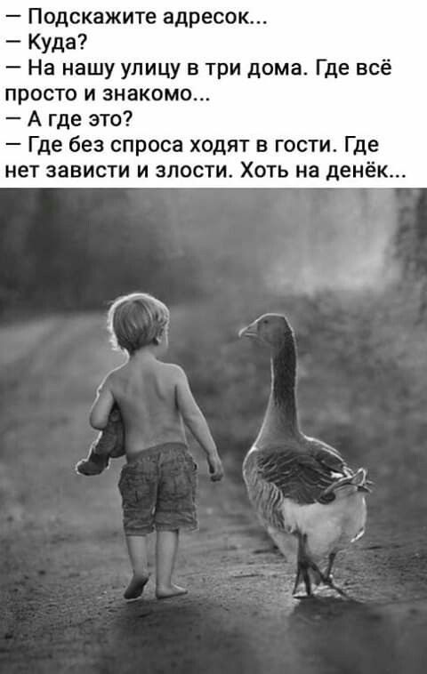 Подскажите адресок Куда На нашу улицу в три дома Где всё просто и знакомо А где это Где без спроса ходят в гости Где нет зависти и внести Хоть на денёк