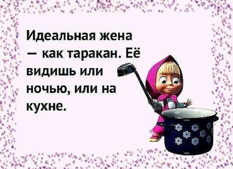 Идеальная жена как таракан Её видишь или ночью или на кухне