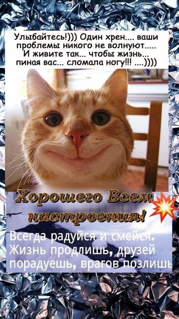 Мл  29  улыбайтесь! Один хрен. Проблемы никого не волную: и живите так... Чтобы: жизнь пиная вас... Сломала ногу е