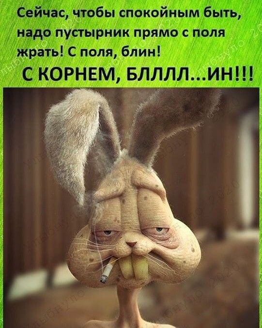 _ вища кд