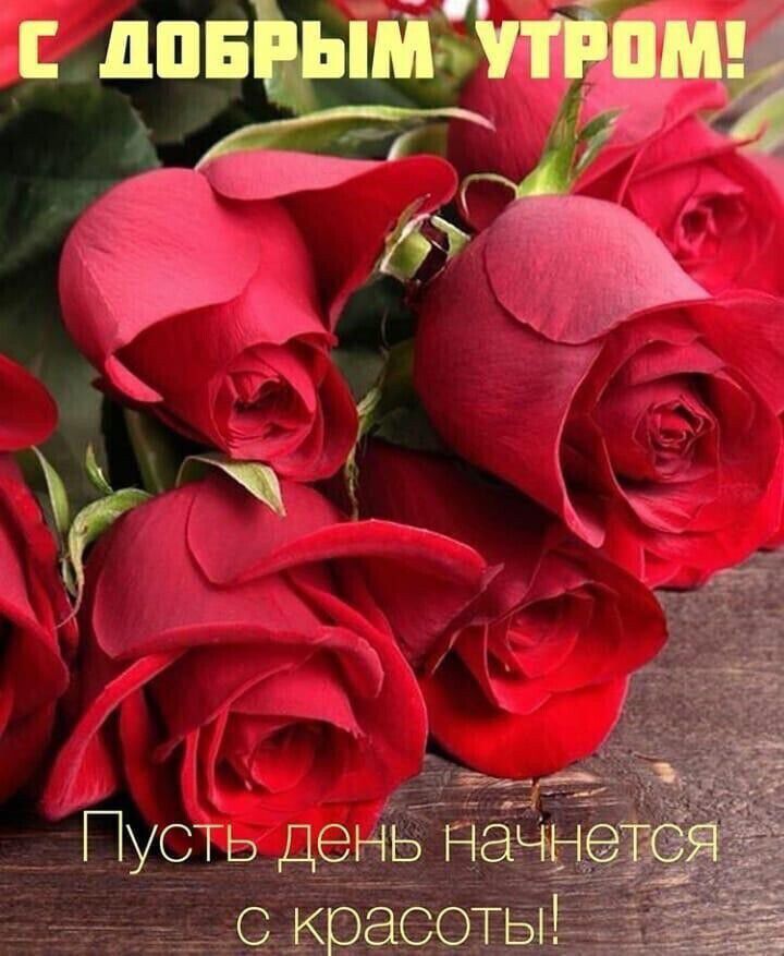 ч __ Пусть де