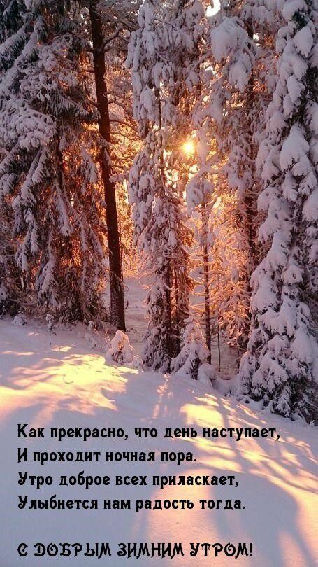 Как прекрасно, что день наступает,  й прохолит ночная пора. Утро доброе всех приласкает, улыбнется нам ралость тогда.  Эббрылм зимнилм утром!