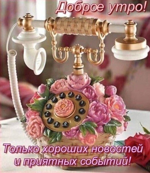 олькохороших новостей и приятных событий