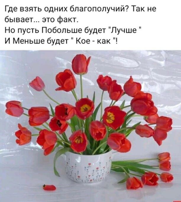 Где взять одних бпагополучий Так не бывает это факт Но пусть Побольше будет Лучше И Меньше будет Кое как
