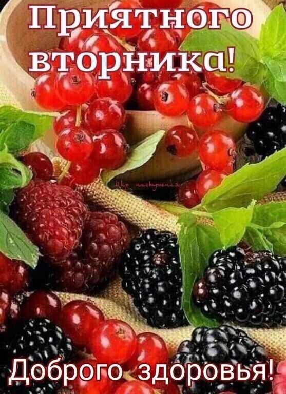 6 ч мч  до