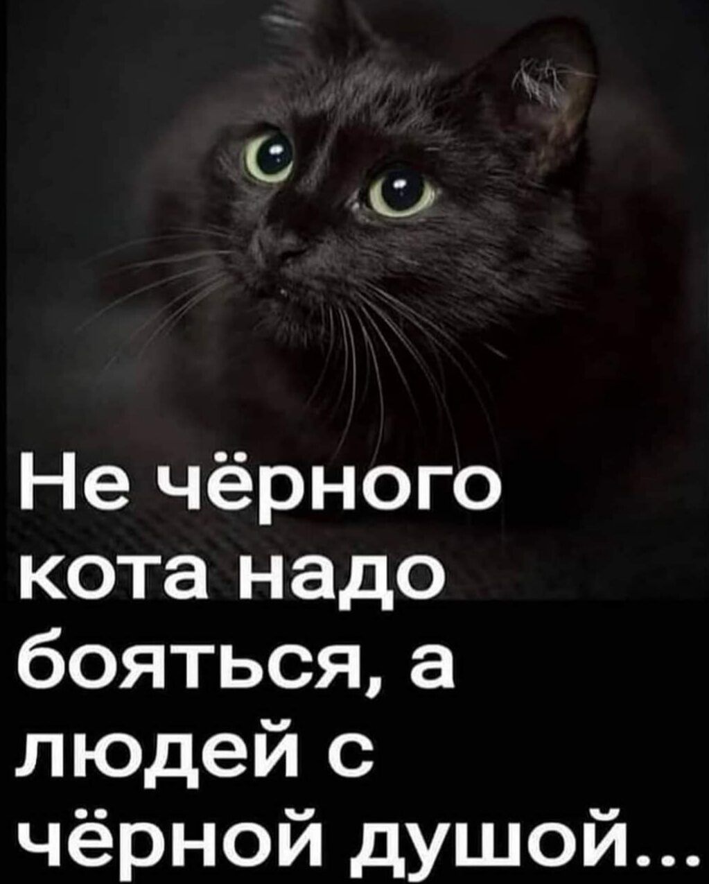 Не чёрного кота надо боятьсяа людей с чёрной душой