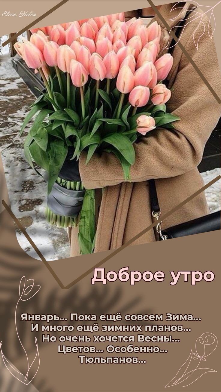 доброе утро Январь Пока ещё совсем Зима и много ещё зимних планов Но очень хочется Весны Цветов Особенно Тюльпанов