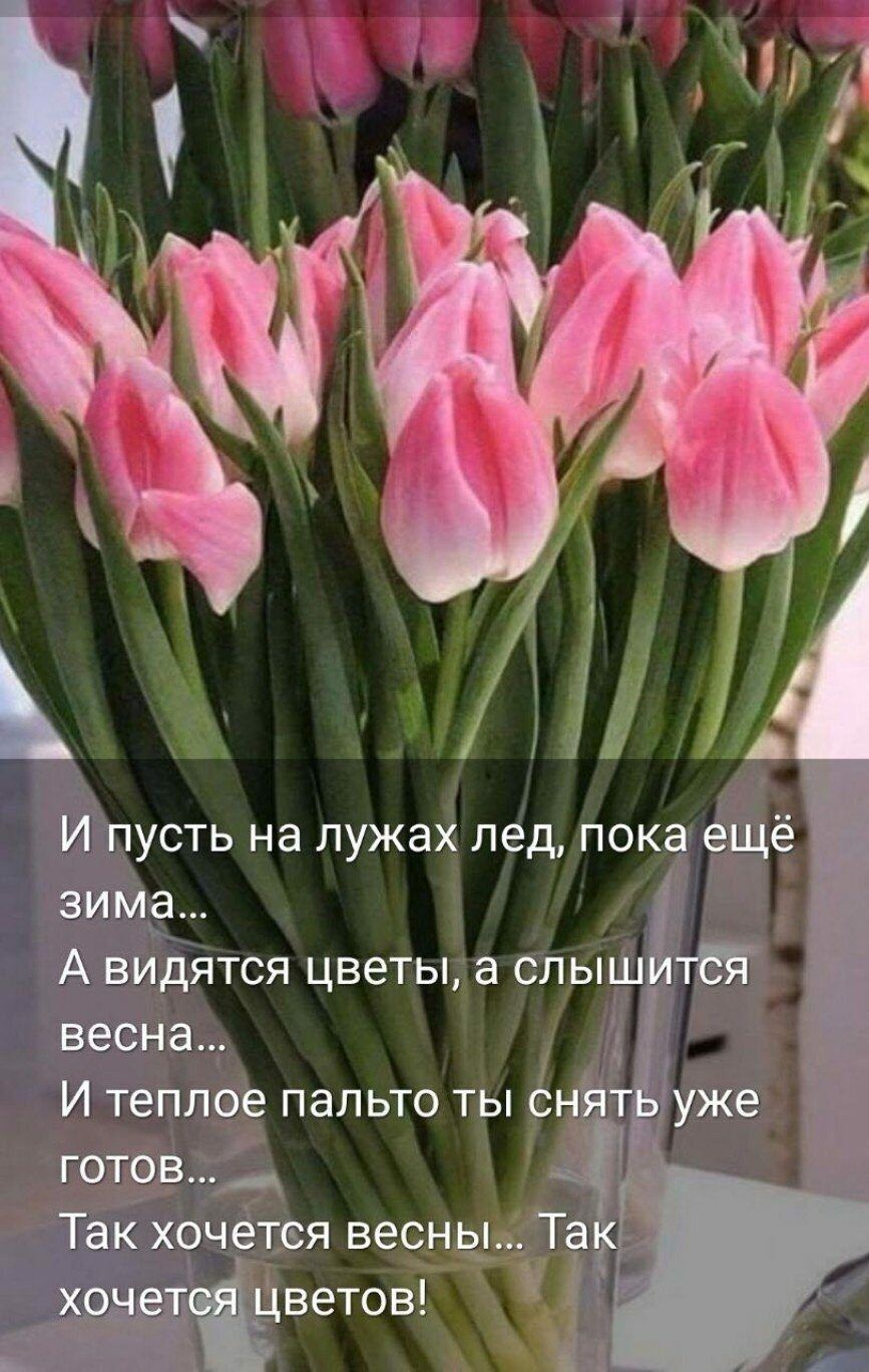 И пусть на лужах лед, пока ещё зима...  А видятся цветы,а слыш весна... И теплое пальто ты снйт  уже готов...   Так хочется весны... Таь цветов ! Я 1
