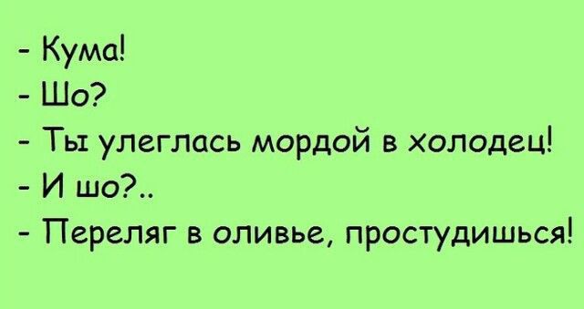 кума!  Шо?  Ты улеглась мордой в холодец!  И шо?..  Переляг в оливье, простудишься!