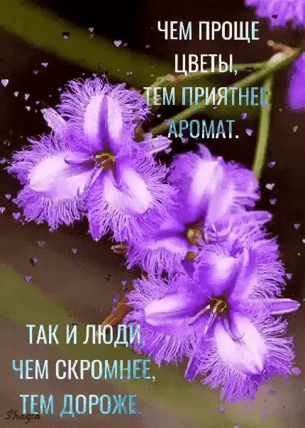 чп ЧЕМ ПРОЩЕ _ цвпы _ ЕМ приятны еоммд ЧЕМ скгомнЁ тгм дорожв _