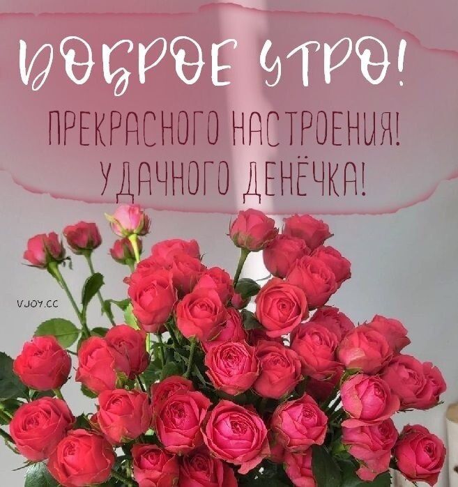ПРЕКРНСНОГО НССТРОЕНЫШ УДВЧНОГО ДЕНЁЧКЩ