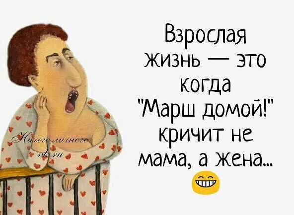 Взрослая жизнь это когда Марш домой кричит не мама а жена