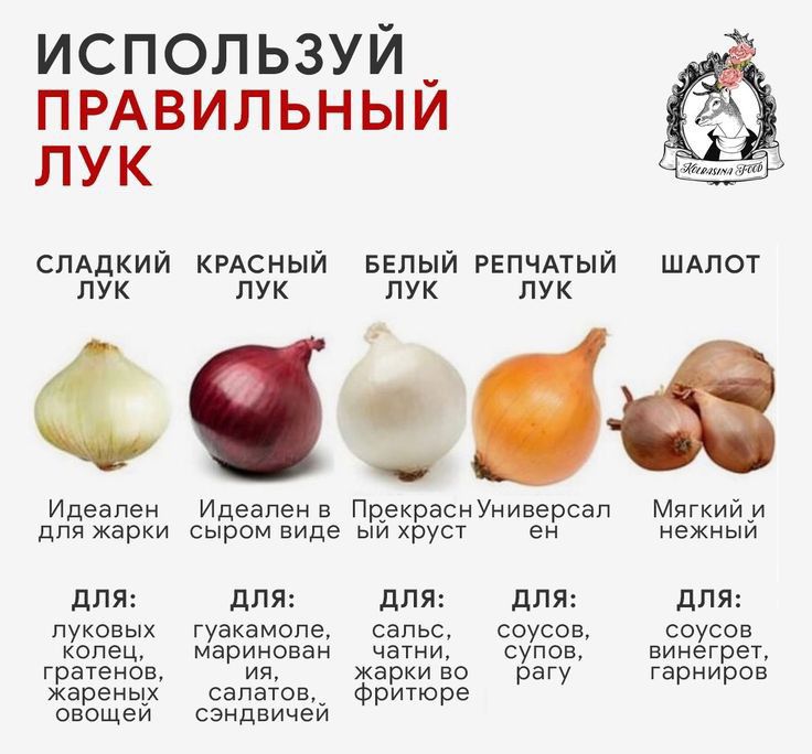 используй _ ПРАВИЛЬНЫИ пук СЛАДКИЙ КРАСНЫЙ БЕЛЫЙ РЕПЧАТЫЙ ШАЛОТ ЛУК ЛУК ЛУК ЛУК 65 Идеален Идеаленв ПрекраснУниверсал Мягкиии для жарки сыром виде ыи хруст ен нежный для для для для для луковых гуакамопе сальс соусов соусов колец маринован чатни супов винегрет гратенов ия жарки во рагу гарниров жаренщх салатом Фритюре ОБОЩЭИ СЭНДВИЧЭИ