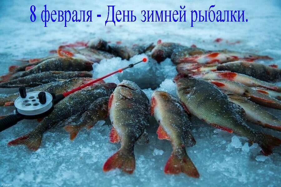 февраля День зимней рыбалки