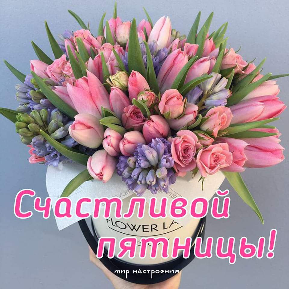 тнг нёстгоенп