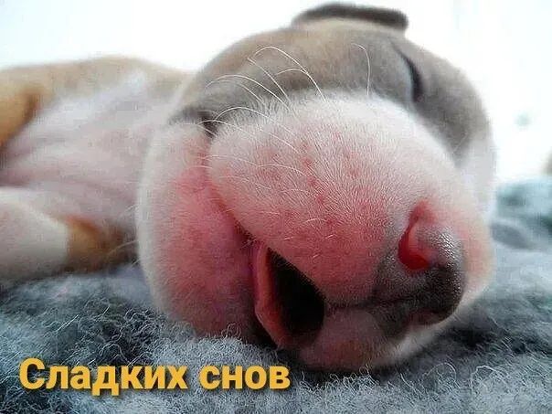 Следи