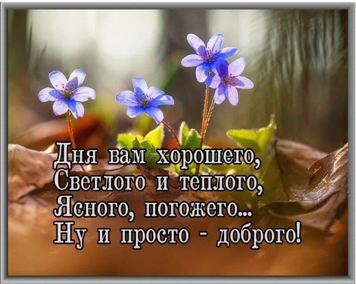 ЖДНЯ дам хорошего Светлого и тейЛбго Яоного погожего Ну и просто доброго