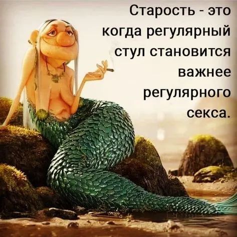 Старость это Ж когда регулярный стул становится важнее регулярного секса 1