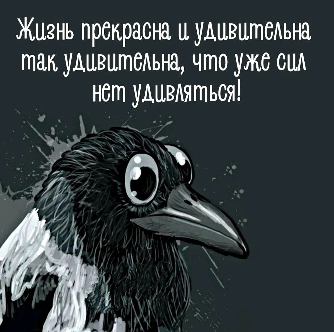 Жизнь прекрасна удивитеьна так удивите что уже сп нет УАЦВАятЬСЯ на _ а д и _ п ж _