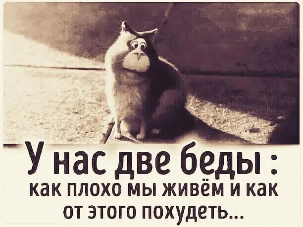 У нас две беды как ПЛОХО мы живем И как ОТ ЭТОГО ПОХУДЕТЬ