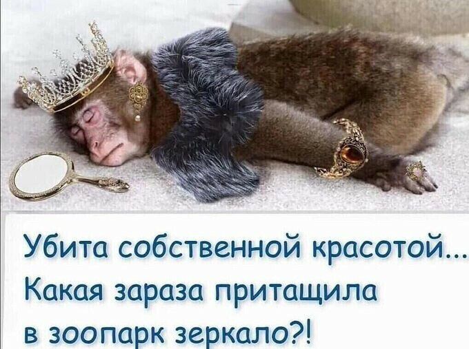Убита собственной красотой Какая зараза притащила в зоопарк зеркало