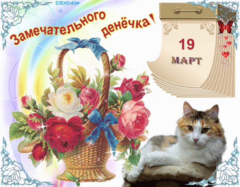 шишки