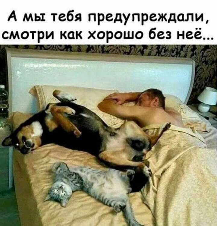 А мы тебя предупреждали смотри как хорошо без неё
