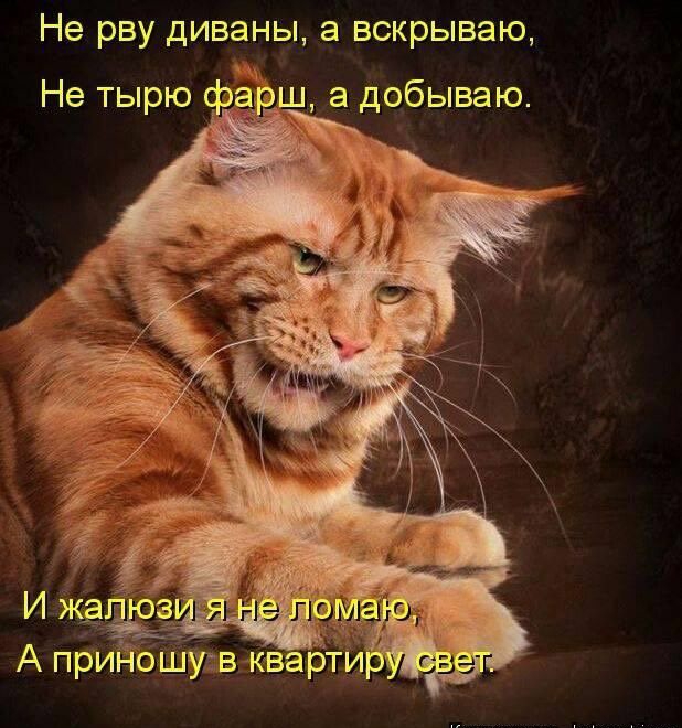 Не рву диваны а вскрываю Не тырю фаеіш а добываю