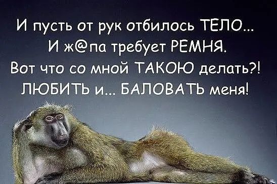 И пусть от рук отбилось ТЕЛО И жпа требует РЕМНЯ Вот те _ АКОЮ делать