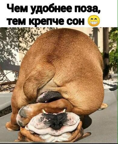 Чем удобнее поза тамквапча оон 0