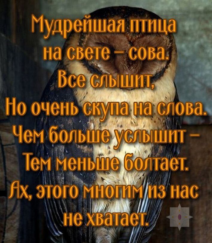 Пудрепшая птица _ на свете сова _ Но очень лк щ мЧембб Тем меньше бтаеТ Не шат етди