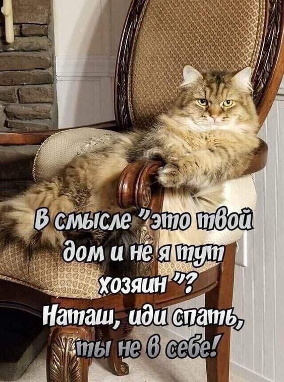 дігты неі себе