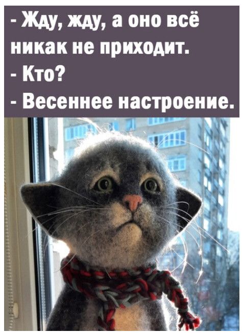 Жду жду а оно всё никак не приходит Кто Весеннее настроение А п 4 и _ 1 5 _