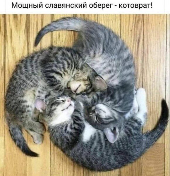 Мощный славянский оберег котоврат иии чп