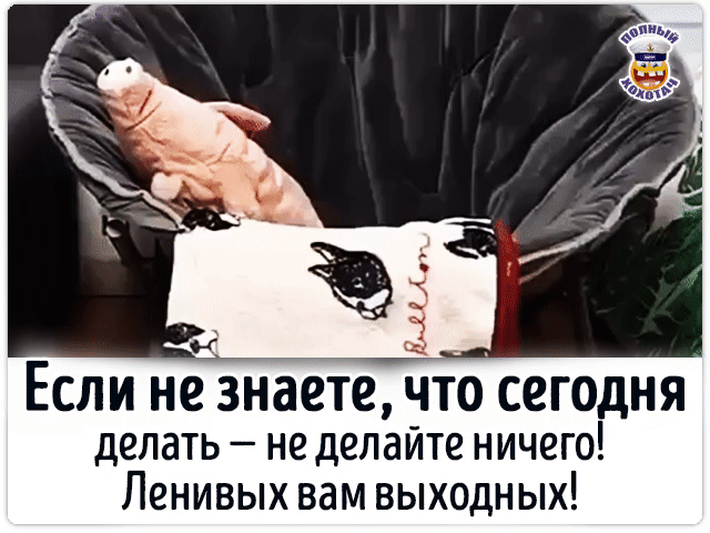 Если некзнаете что сегодня делать не делайте ничего Ленивых вам выходных