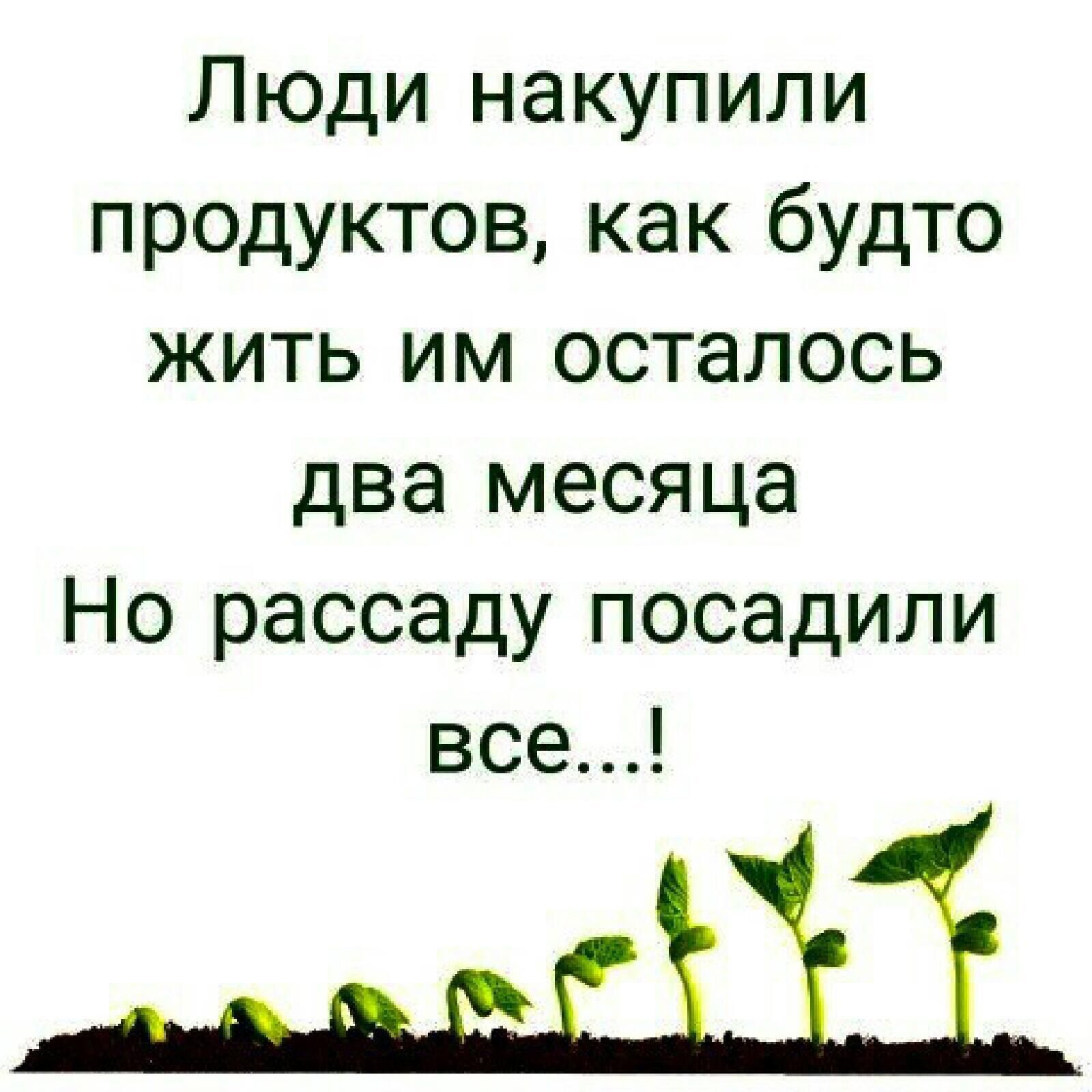 ЛЮДИ накупили продуктов как будто жить им осталось два месяца Но рассаду посадили все