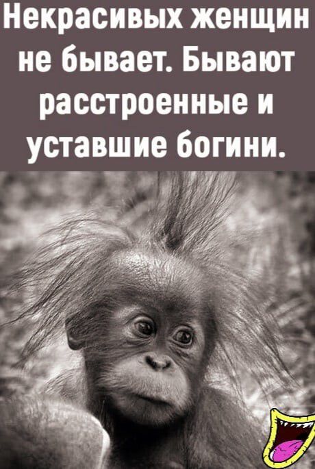 Некрасивых женщин не бывает Бывают расстроенные и уставшие богини