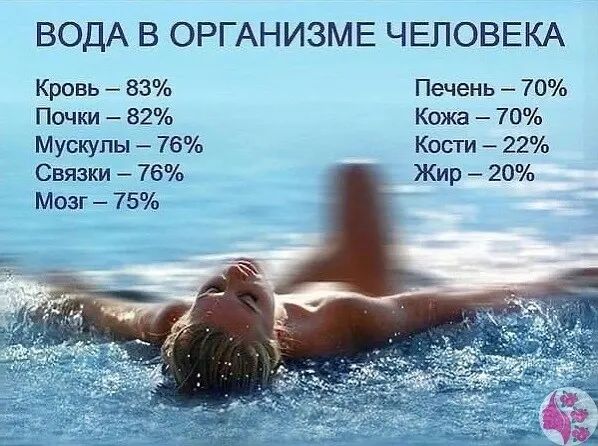 ВОДА В ОРГАНИЗМЕ ЧЕЛОВЕКА Кровь 83 Печень 70 Почки 82 Кожа 70 Мускулы 76 Кости 22 Связки 76 Жир 20 Мозг 75