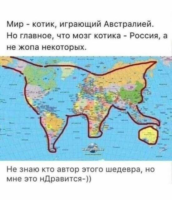 Мир котик играющий Австралией Но главное что мозг котика Россия а не жопа некоторых Не знаю кто автор этого шедевра но мне это ндравится
