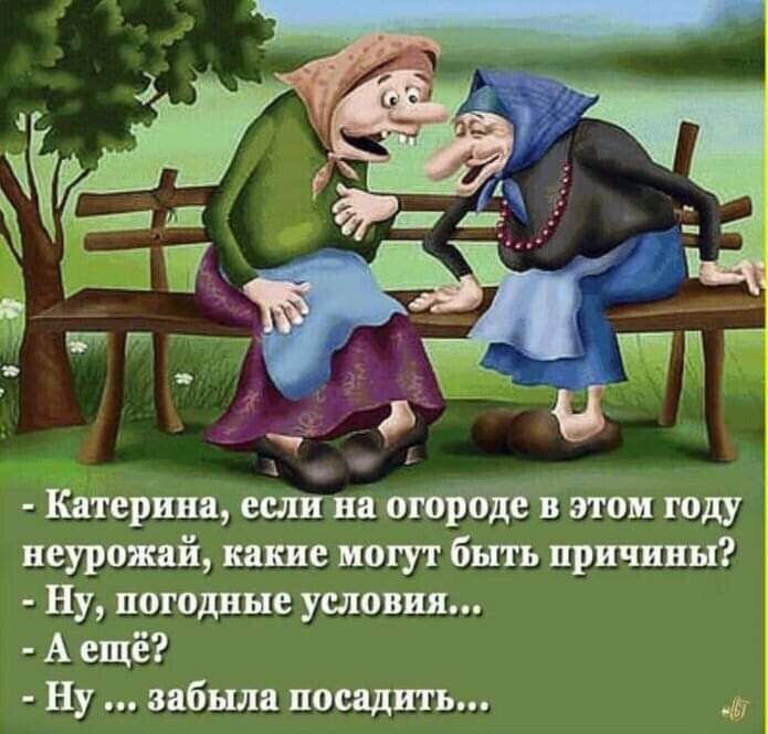 неурожай какие могут быть причины Ну погодные условия А ещё Ну забыла посадить