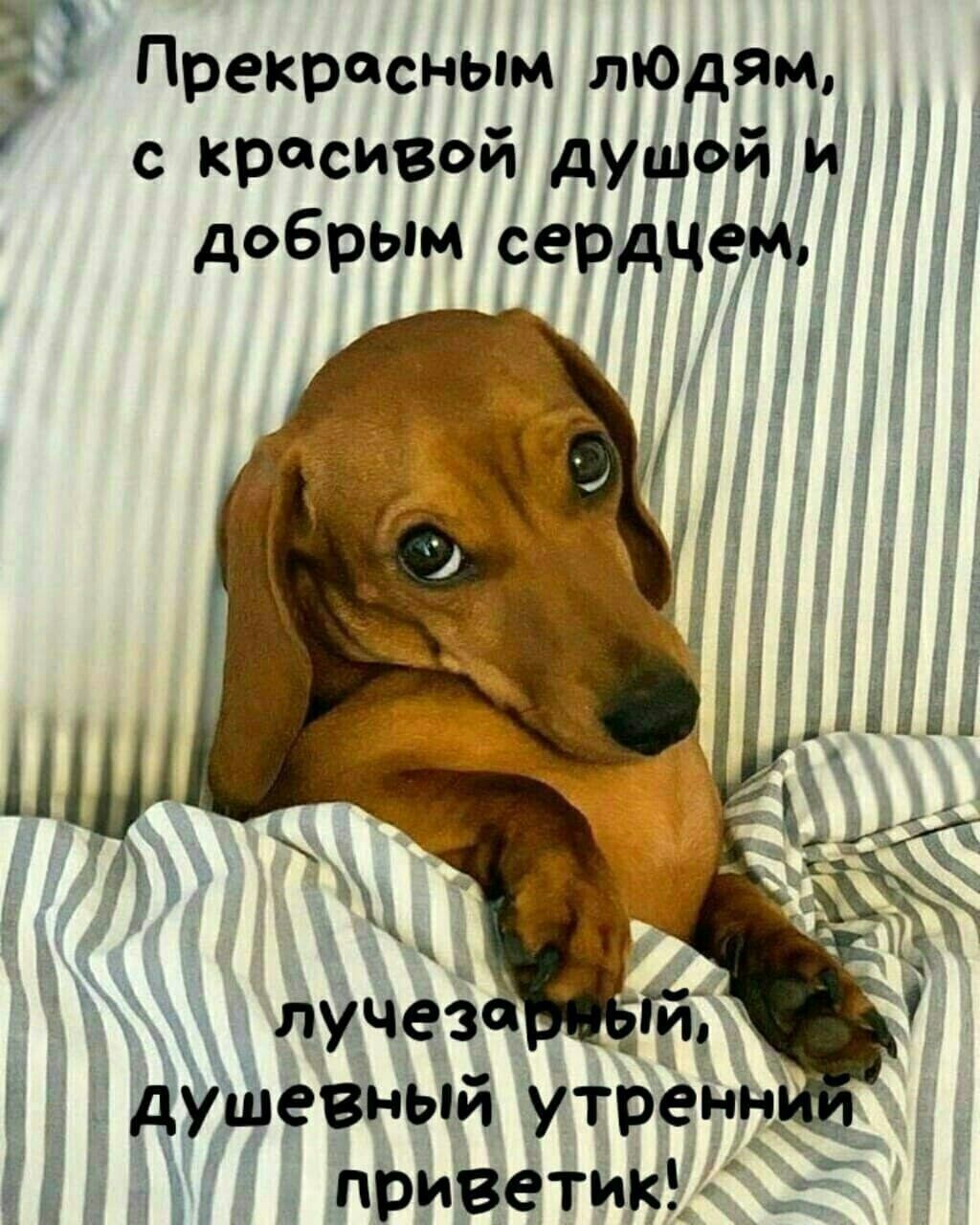 6 Прекрасным лЮдям И С КРСИВОЙ душой и АОБРЫМ сердцем душевный утрённы приветикь
