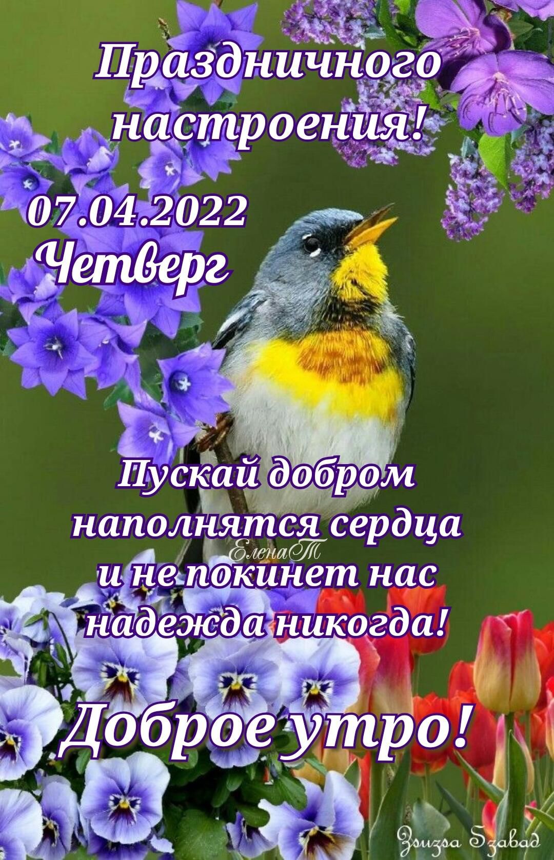 Нд уздничнёогё и ъъ Й е_строениячг_я г 07 04 2022 Ч 53 к жнся сердца жннет нас никогда
