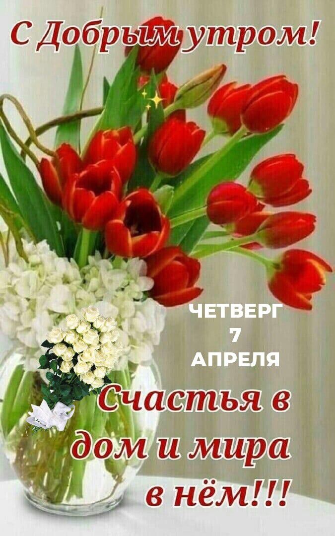 СДбрЫш Игаждала