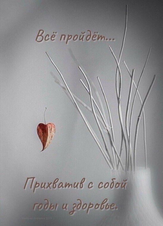 у 1 __Пібщии с соді