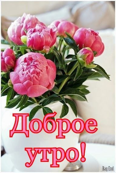 _ Вао ШШ