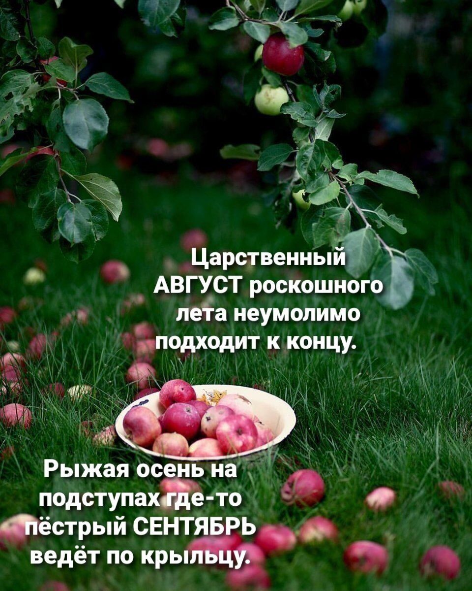 _ дары нений АВГУСТ роскошиого пеа неумолимо и пощадит к концу о дд и Рыжая ос подступа ьн 10 Оёарый СЕ Ь ведёт по крь